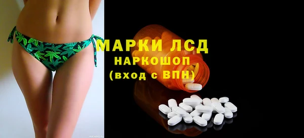 гидра Алзамай