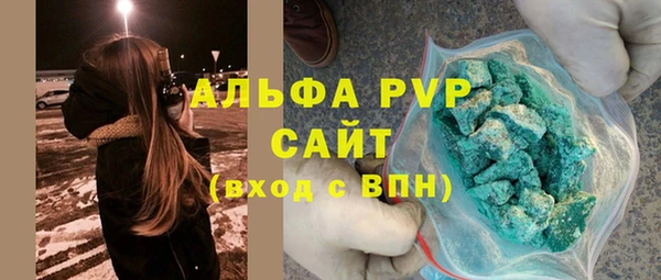 стаф Алексин