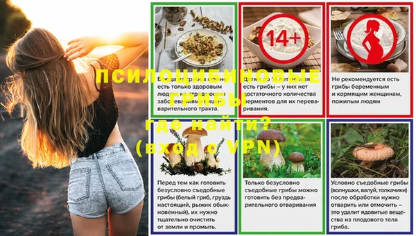 стаф Алексин