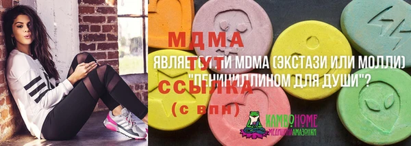 стаф Алексин